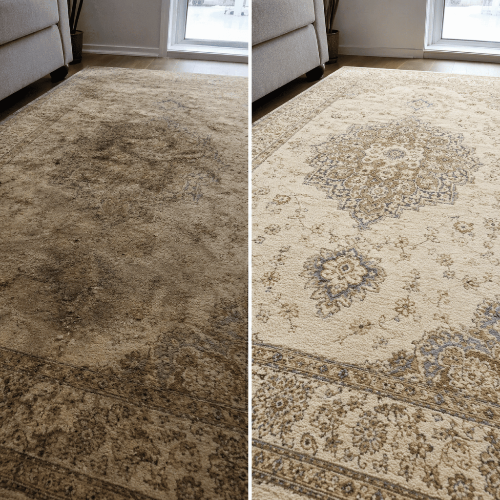 carpet cleaning service before and after