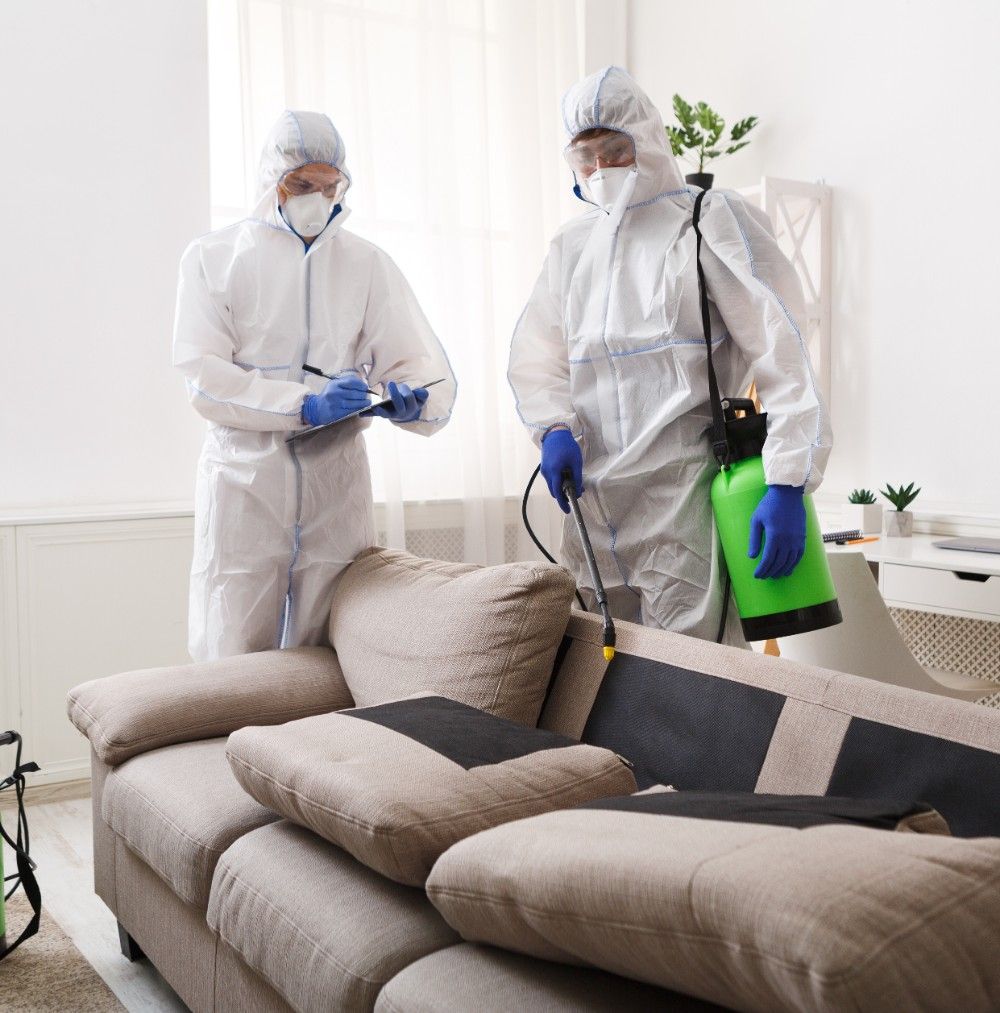 disinfectant service