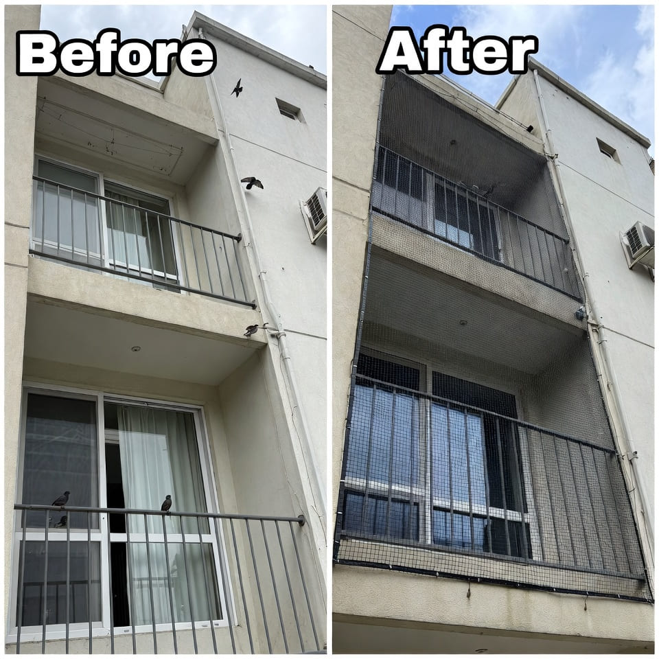 Pigeon Netting Services Kathmandu